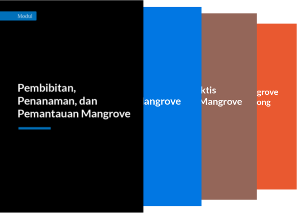 lebih banyak data mangrove lebih banyak data mangrove