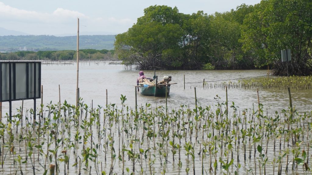 Data primer dan sekunder mangrove dalam penelitian