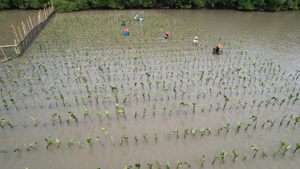 Koordinat survei mangrove untuk pemetaan dan monitoring
